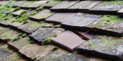 Syston roof repair costs